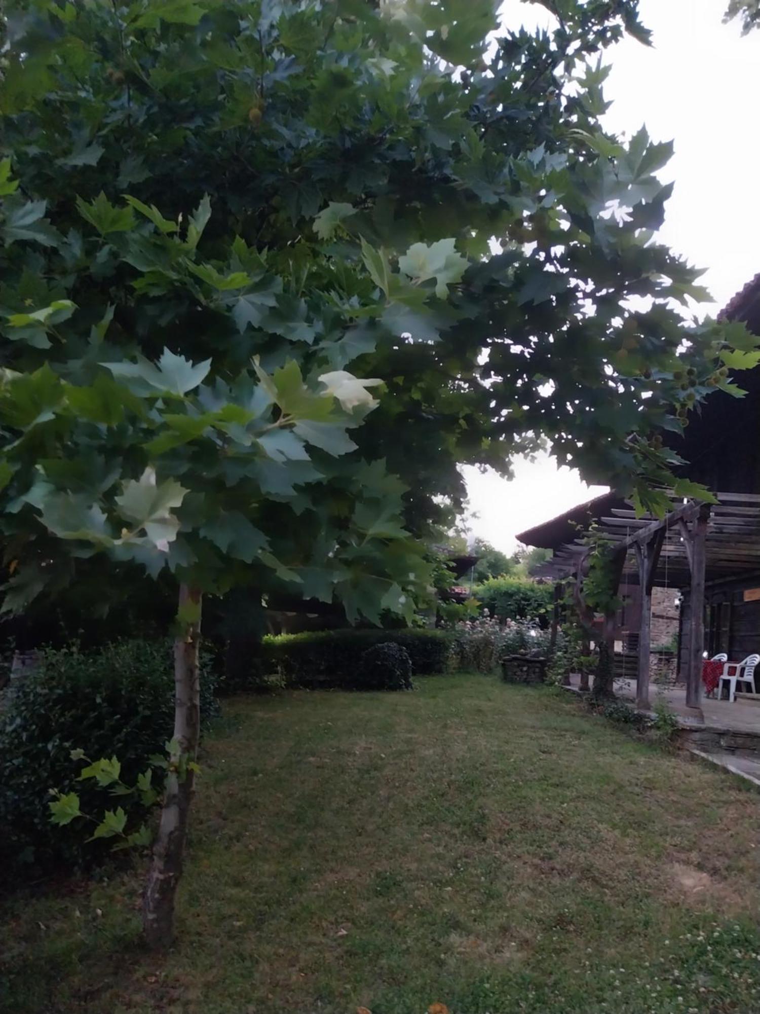 Guest Houses "Zlatna Oresha - Complex" Jeravna Exterior foto